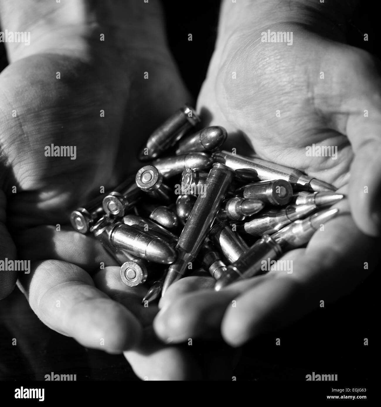Hands Holding Bullets Stock Photo