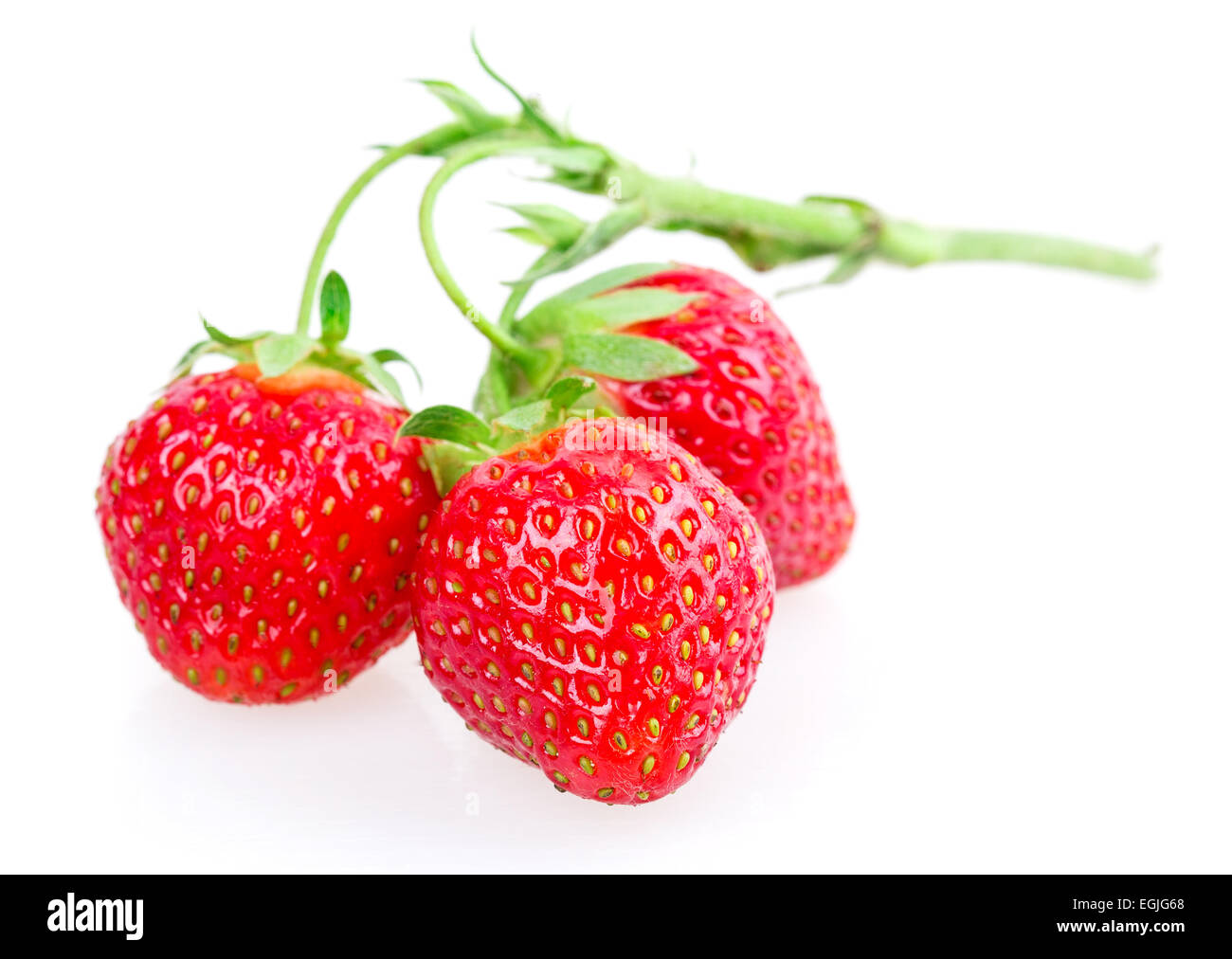 ripe strawberries isolated on white background Stock Photo - Alamy