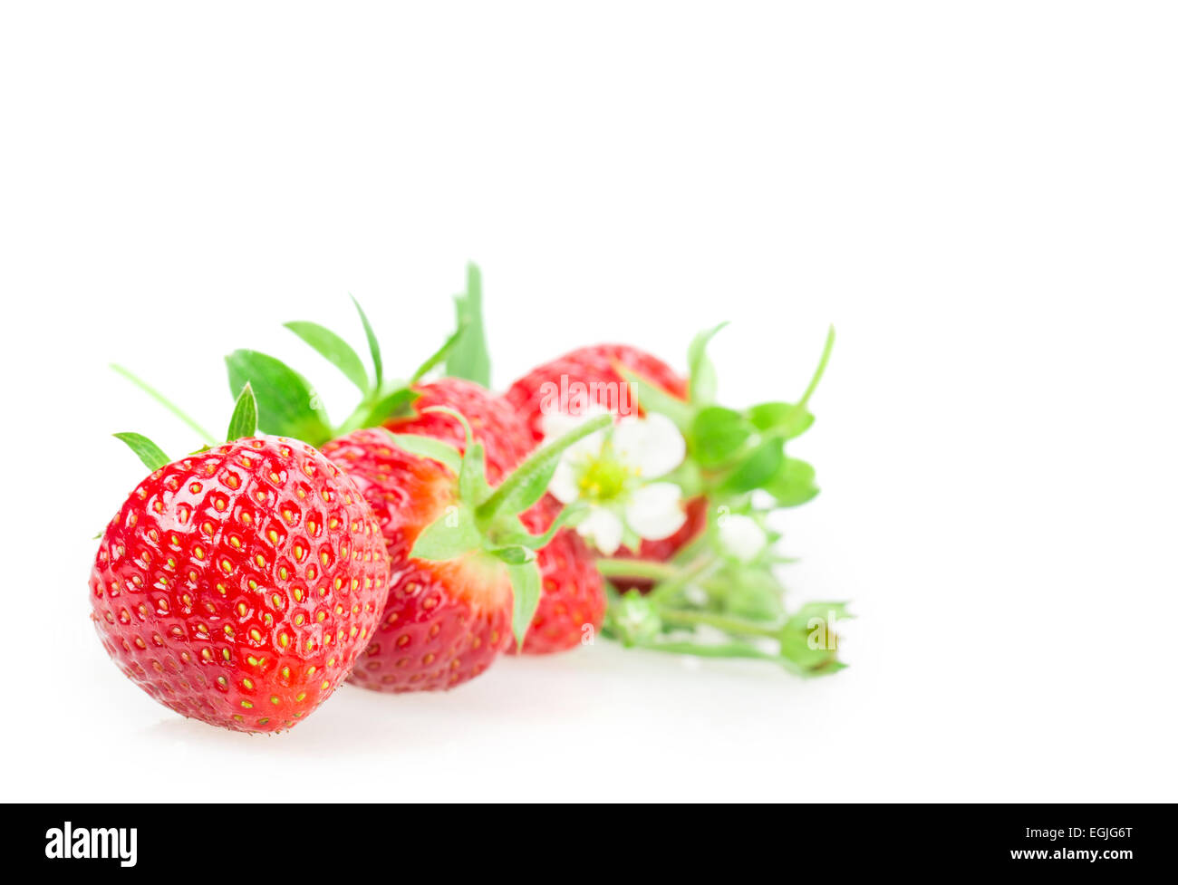ripe strawberries isolated on white background Stock Photo - Alamy