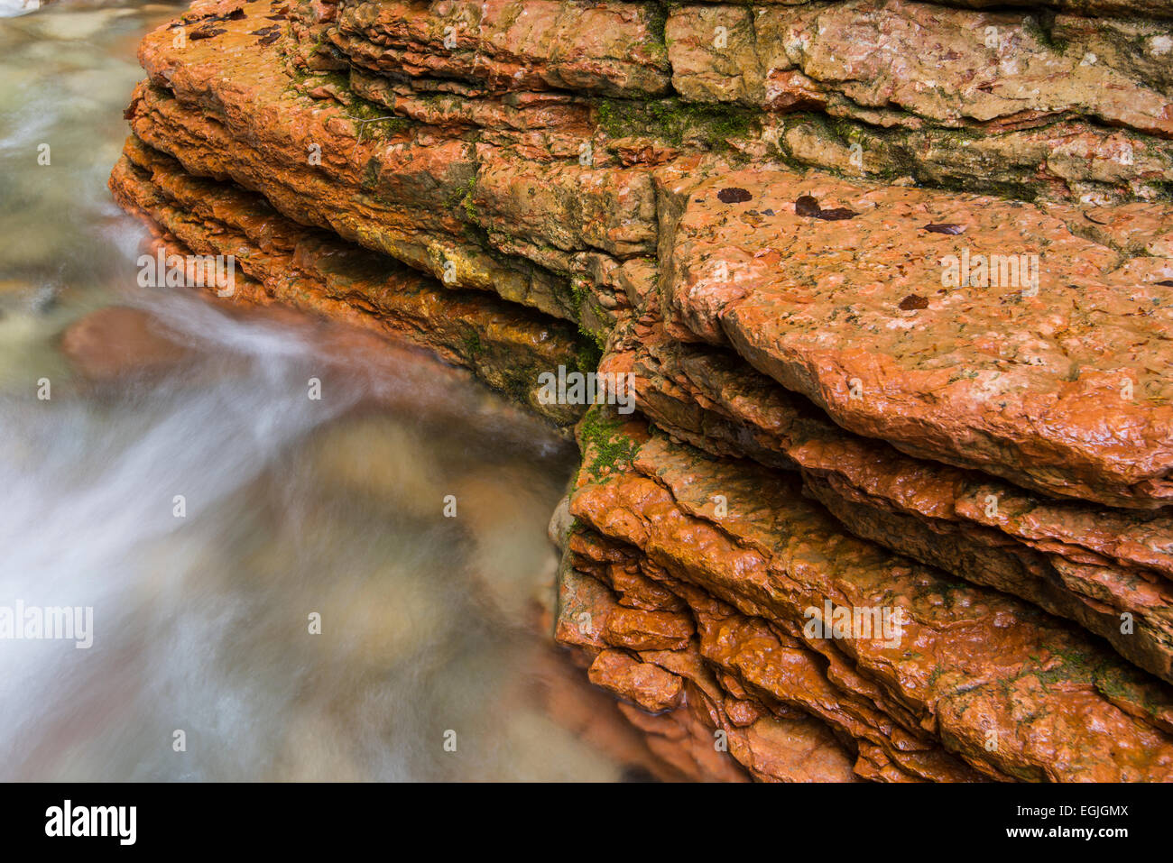 Detail of Taugl stream, Tauglbach or Taugl River, Taugl River Gorge, Tennengau region, Salzburg State, Austria Stock Photo