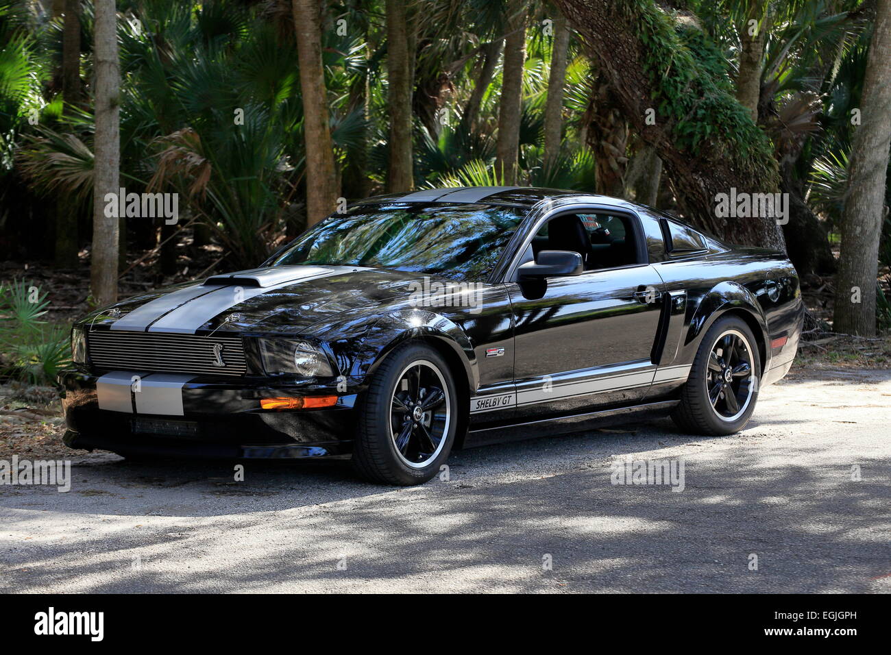 A 2007 model Shelby GT Ford Mustang automobile Stock Photo