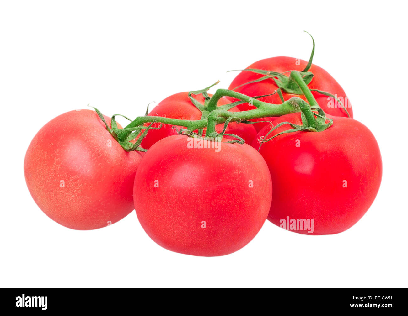 tomato isolated on white background Stock Photo - Alamy
