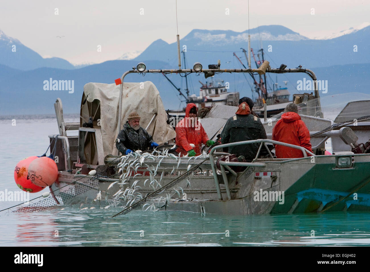 Herring skiff fishing for pacific herring in Strait of (Salish