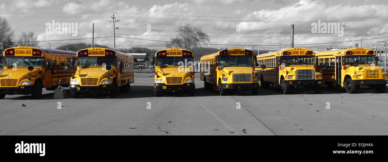 School busses Stock Photo