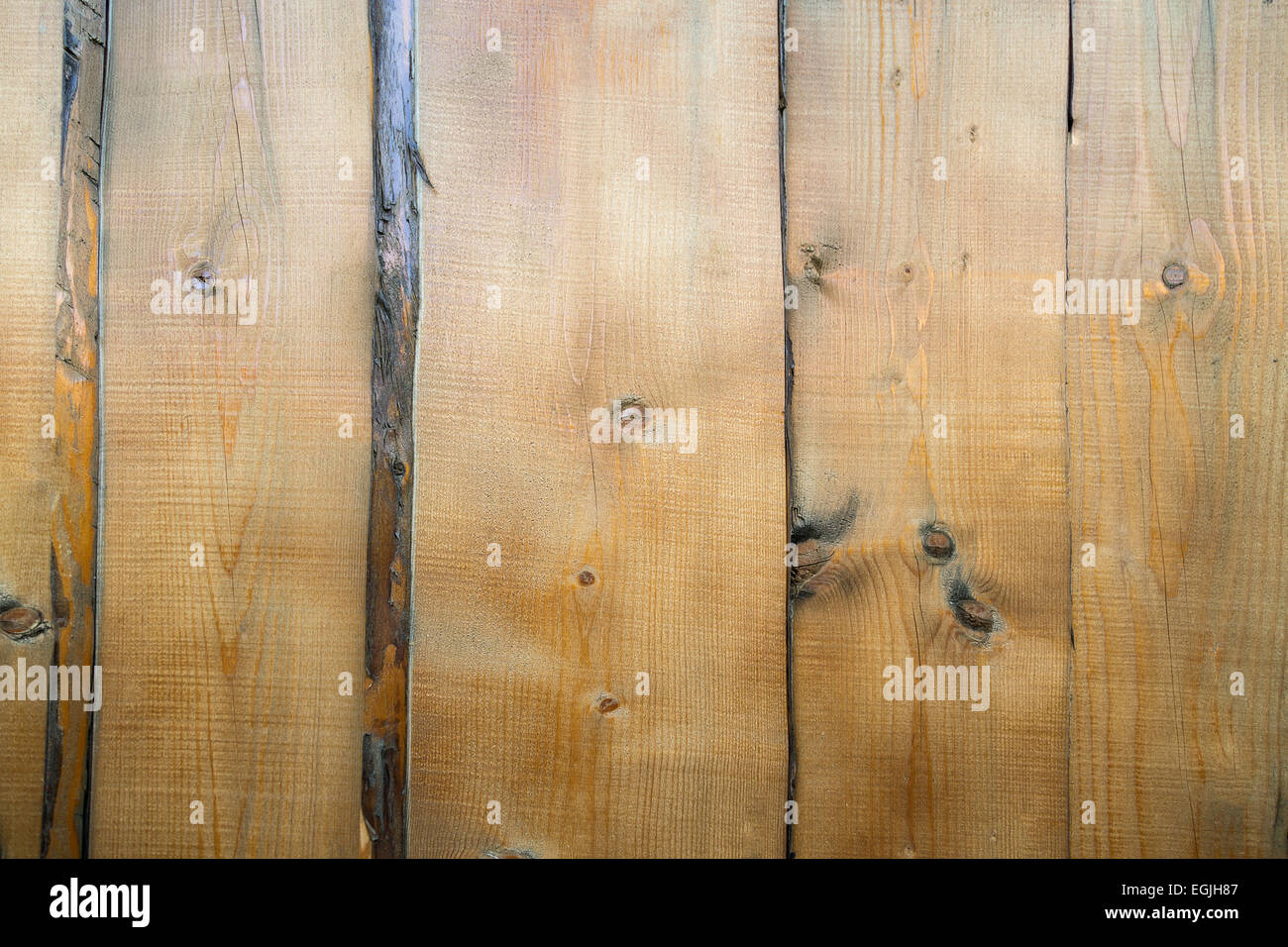 wood texture background close up Stock Photo - Alamy