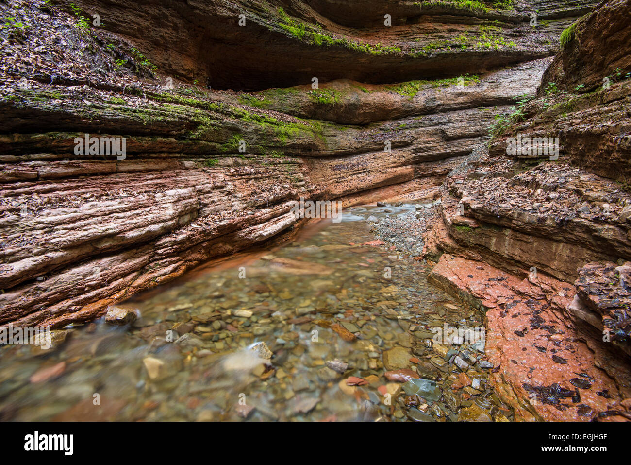 Taugl stream, Tauglbach or Taugl River, Taugl River Gorge, Tennengau region, Salzburg State, Austria Stock Photo