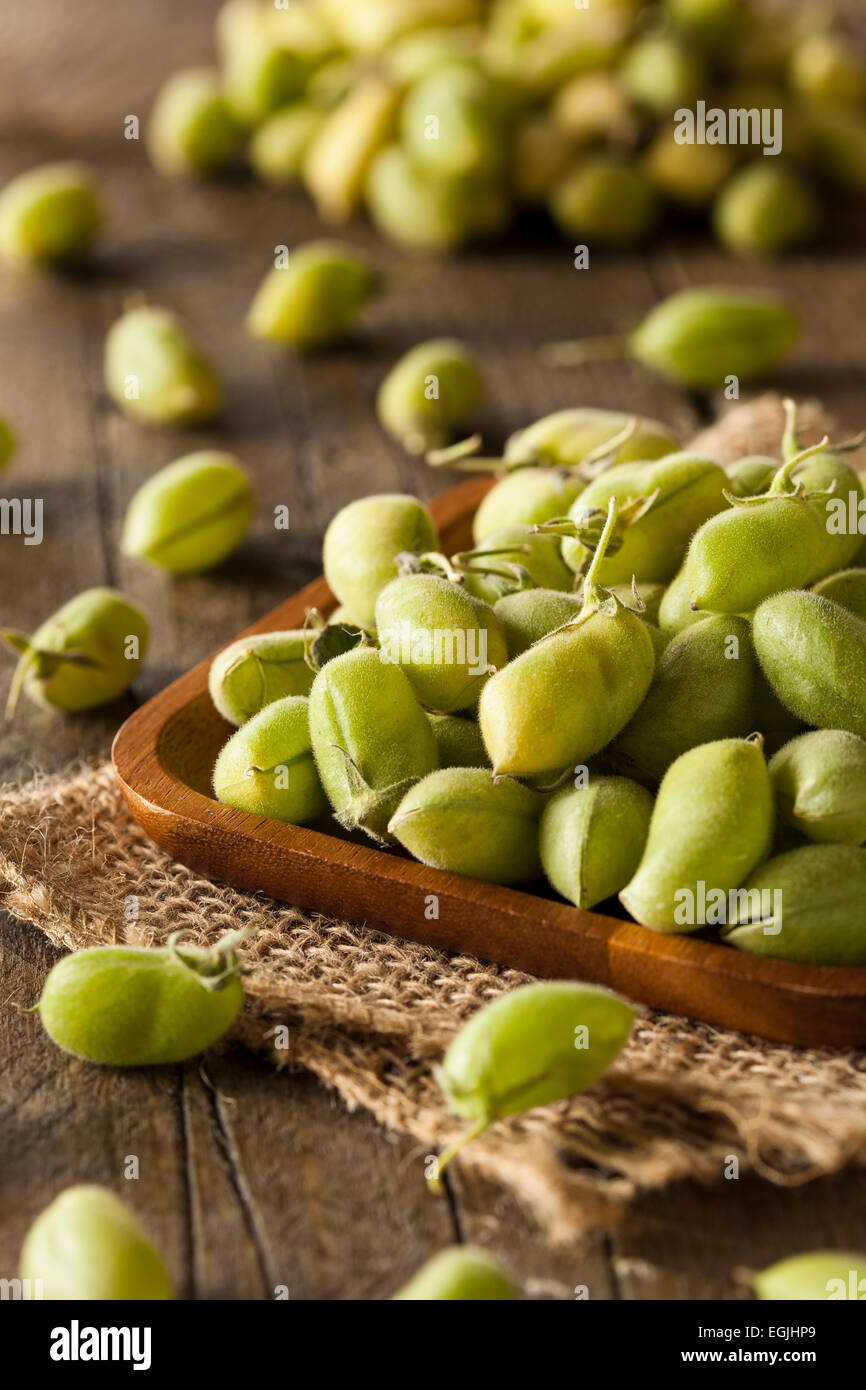 Raw Fresh Organic Green Garbanzo Beans in a Bowl Stock Photo Alamy