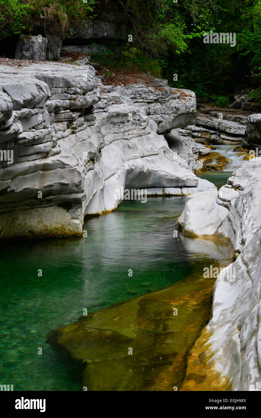 Taugl river, Tauglgries nature reserve, Bad Vigaun, Hallein District, Salzburg, Austria Stock Photo