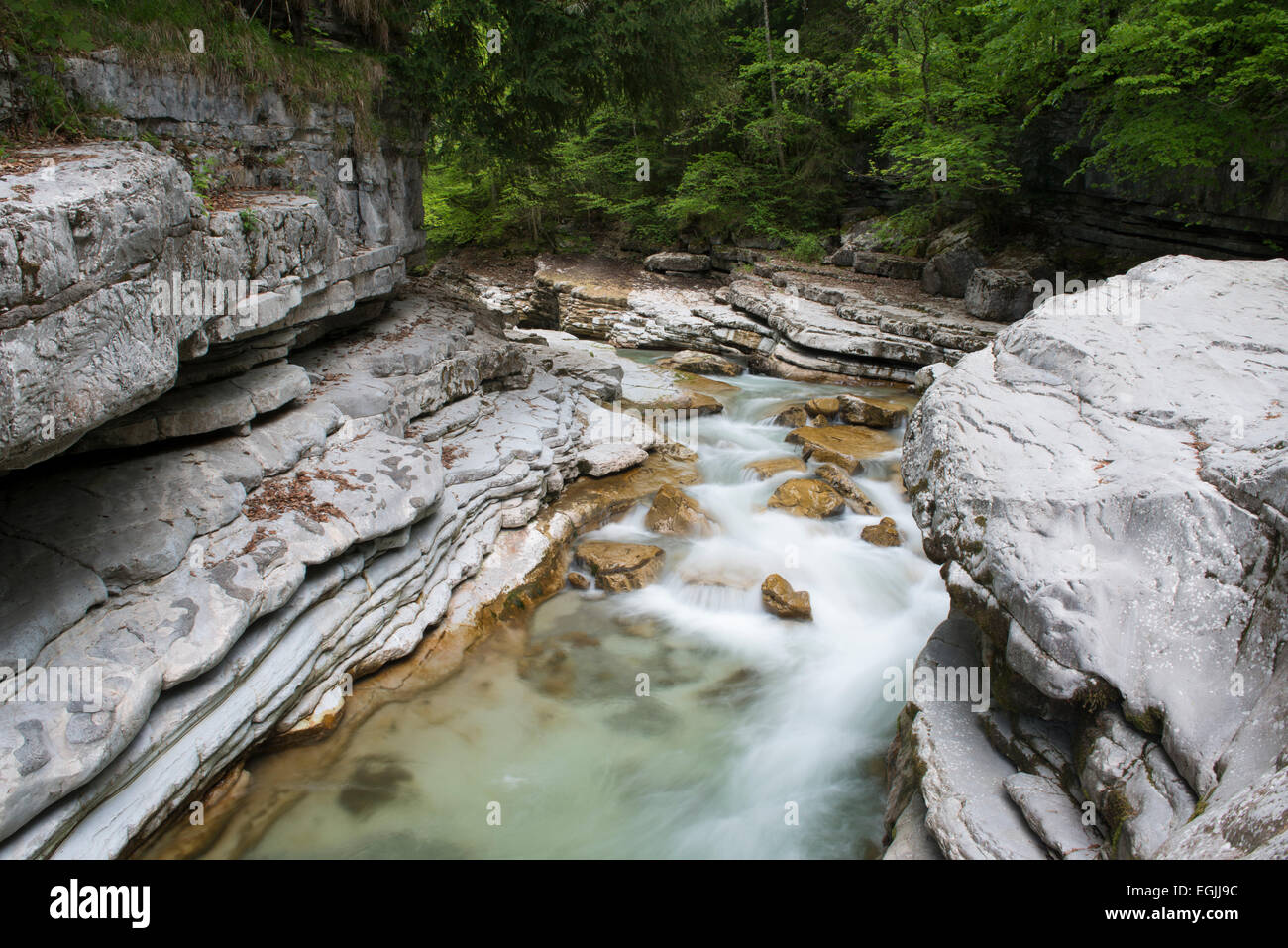 Taugl river, Tauglgries nature reserve, Bad Vigaun, Hallein District, Salzburg, Austria Stock Photo