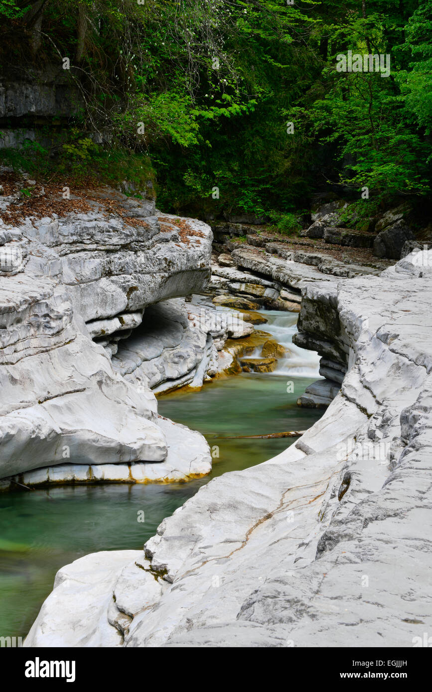 Taugl river, Tauglgries nature reserve, Bad Vigaun, Hallein District, Salzburg, Austria Stock Photo