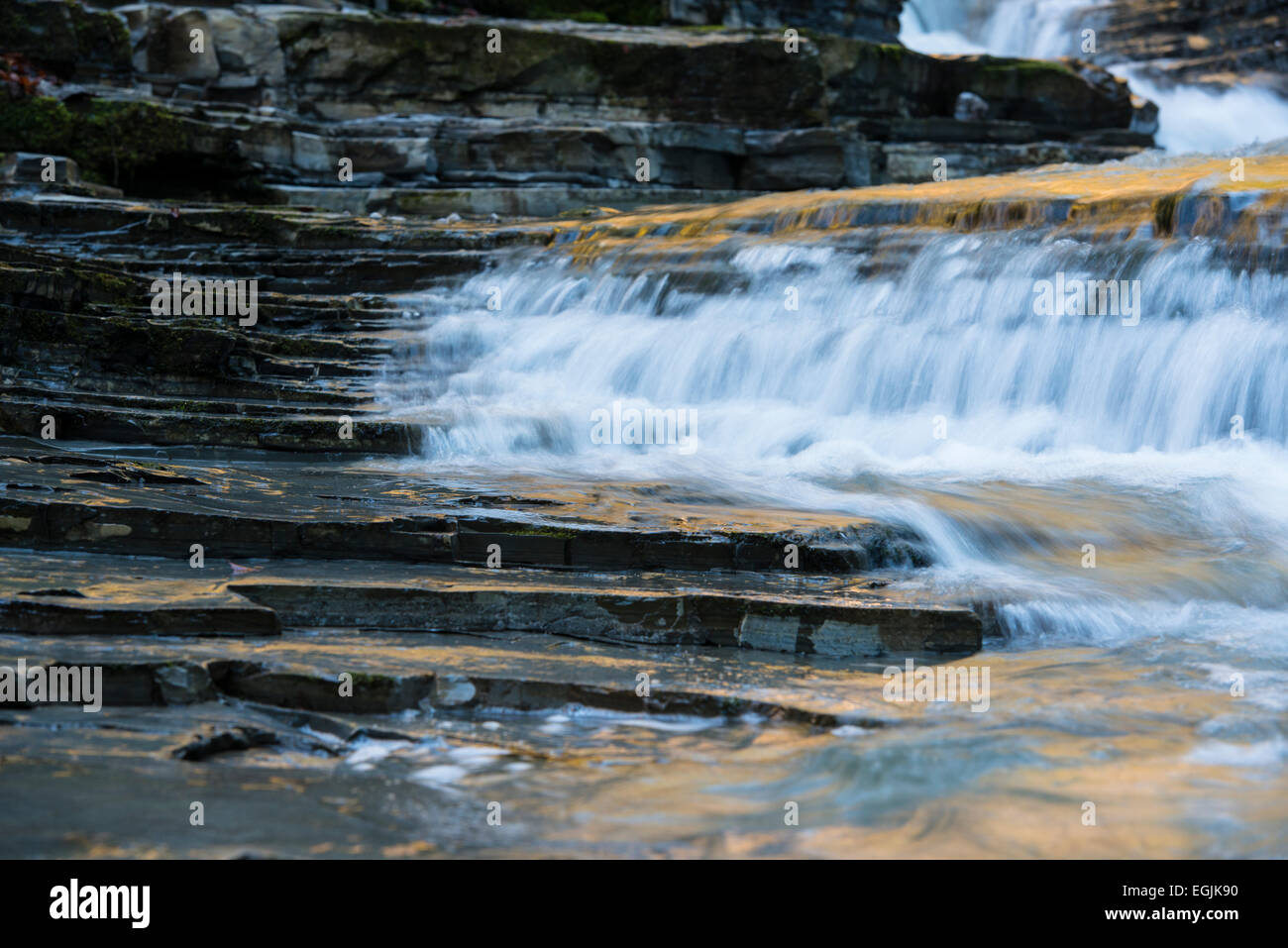 Taugl stream, Tauglbach or Taugl River, Taugl River Gorge, Tennengau region, Salzburg State, Austria Stock Photo