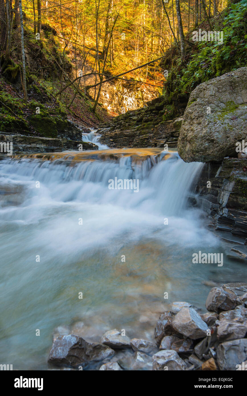 Taugl stream, Tauglbach or Taugl River, Taugl River Gorge, Tennengau region, Salzburg State, Austria Stock Photo