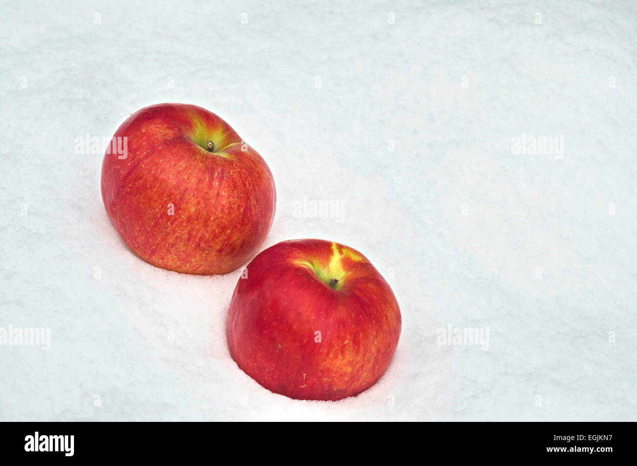 Apple fruit refrigerate in the snow-drift at garden, Sofia, Bulgaria Stock Photo