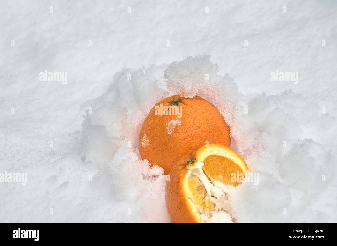 Whole orange and  half orange fruit refrigerate in the snow-drift at garden, Sofia, Bulgaria Stock Photo