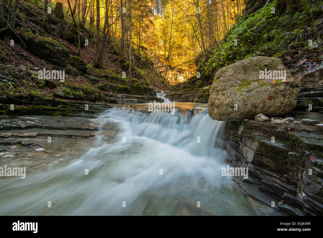 Taugl stream, Tauglbach or Taugl River, Taugl River Gorge, Tennengau region, Salzburg State, Austria Stock Photo