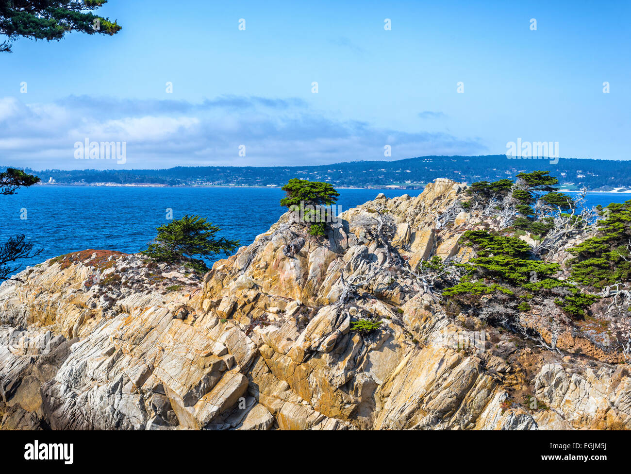 Point Lobos State Reserve. Monterey county, California, United States. Stock Photo