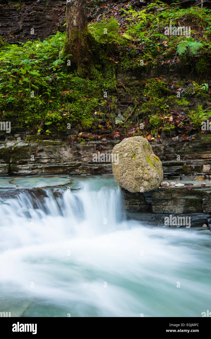 Taugl stream, Tauglbach or Taugl River, Taugl River Gorge, Tennengau region, Salzburg State, Austria Stock Photo