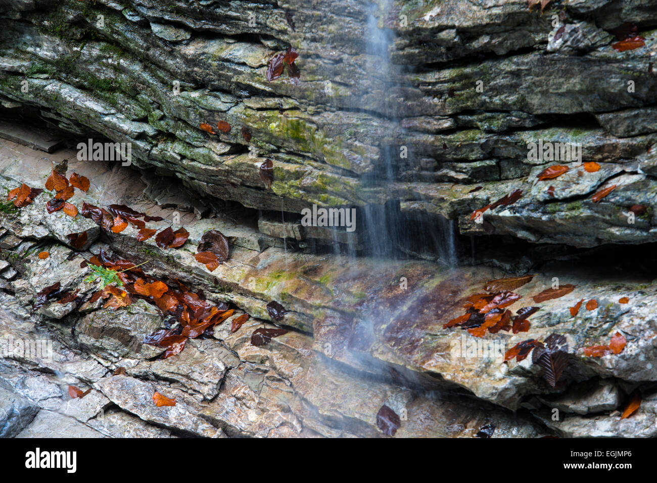 Detail of Taugl stream, Tauglbach or Taugl River, Taugl River Gorge, autumn Tennengau region, Salzburg State, Austria Stock Photo