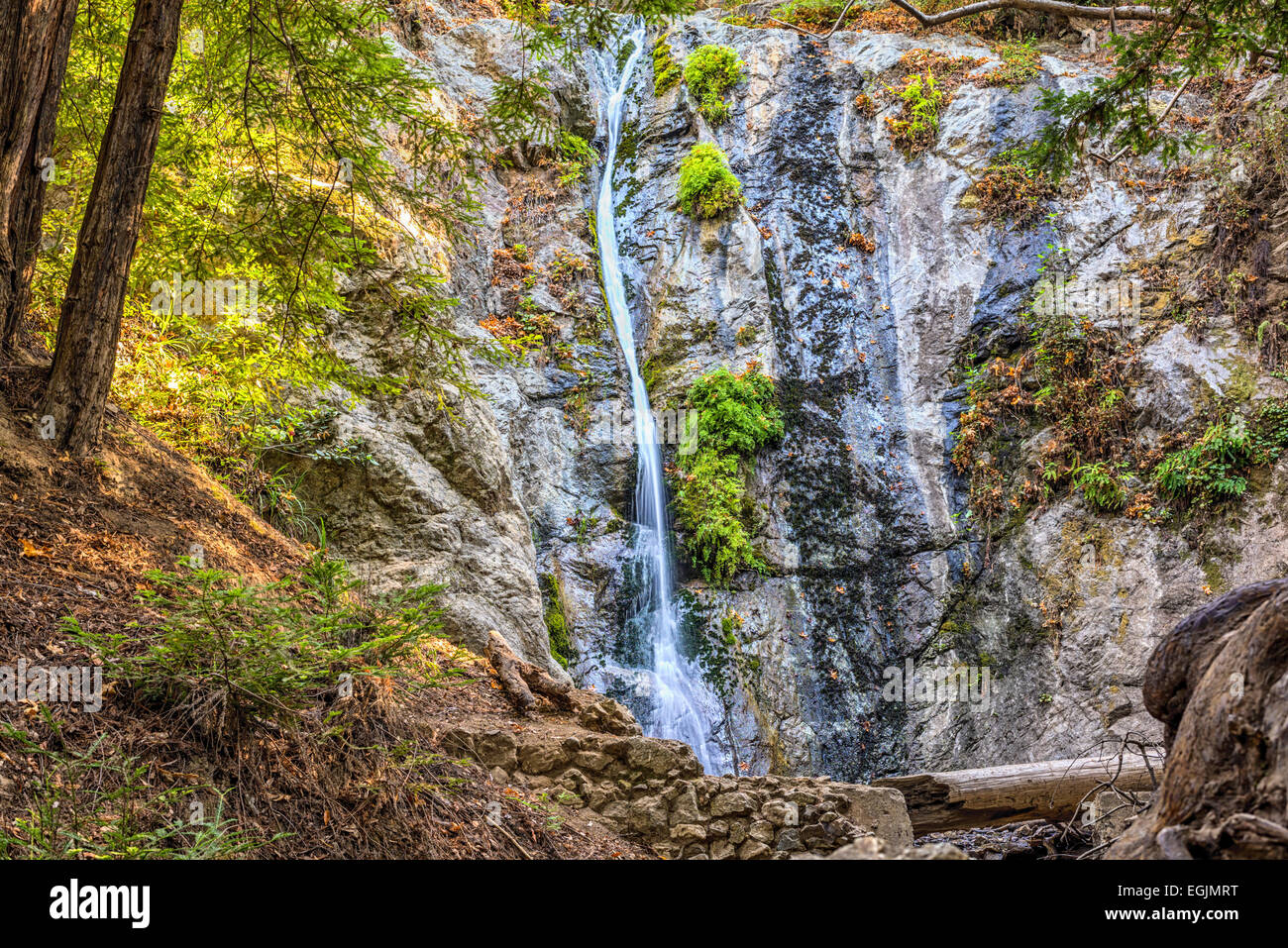 Pfeiffer Falls. Pfeiffer Big Sur State Park, California, United States. Stock Photo