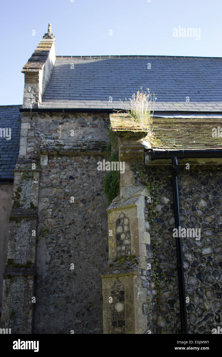 grass growing from roof at St Peter & St Paul, Burgh Castle Norfolk Stock Photo
