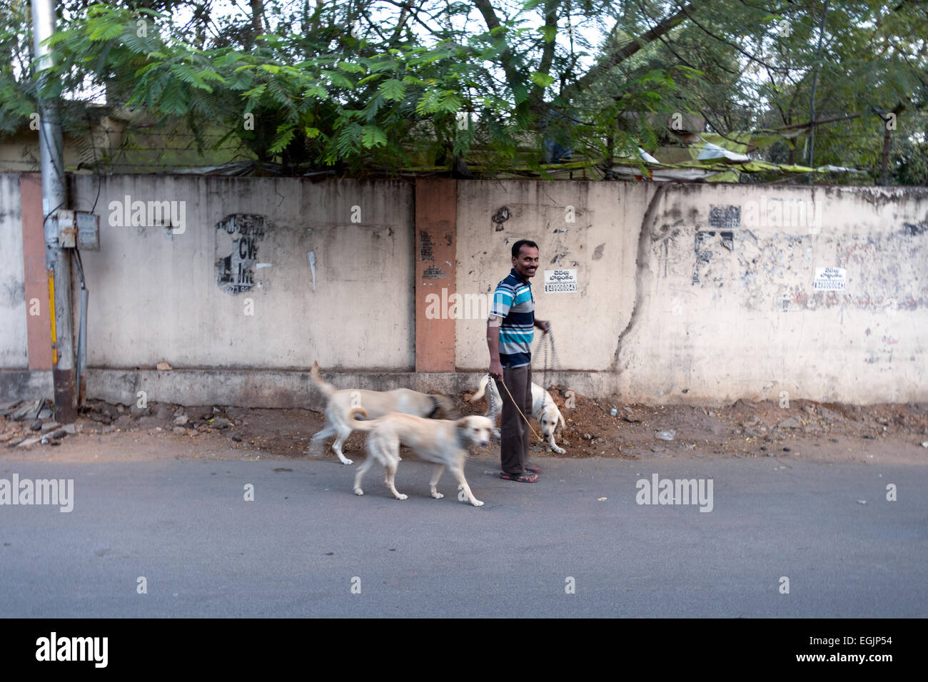 An indian man walks the dog in Hyderabad,India Stock Photo Alamy