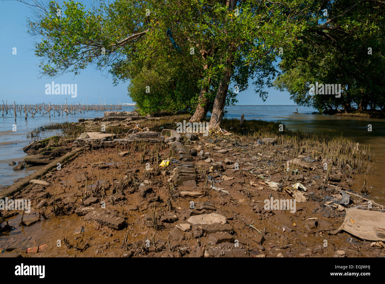 Mangrove trees and the remaining of a man-made structure on a coastal landscape suffering from coastal erosion in Kamal Muara, Jakarta, Indonesia. Stock Photo