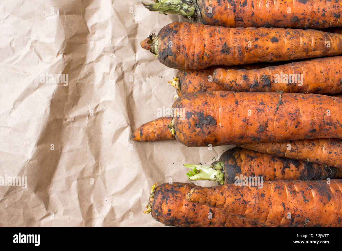 Carrot farm fresh crop dirty, unwashed Stock Photo Alamy