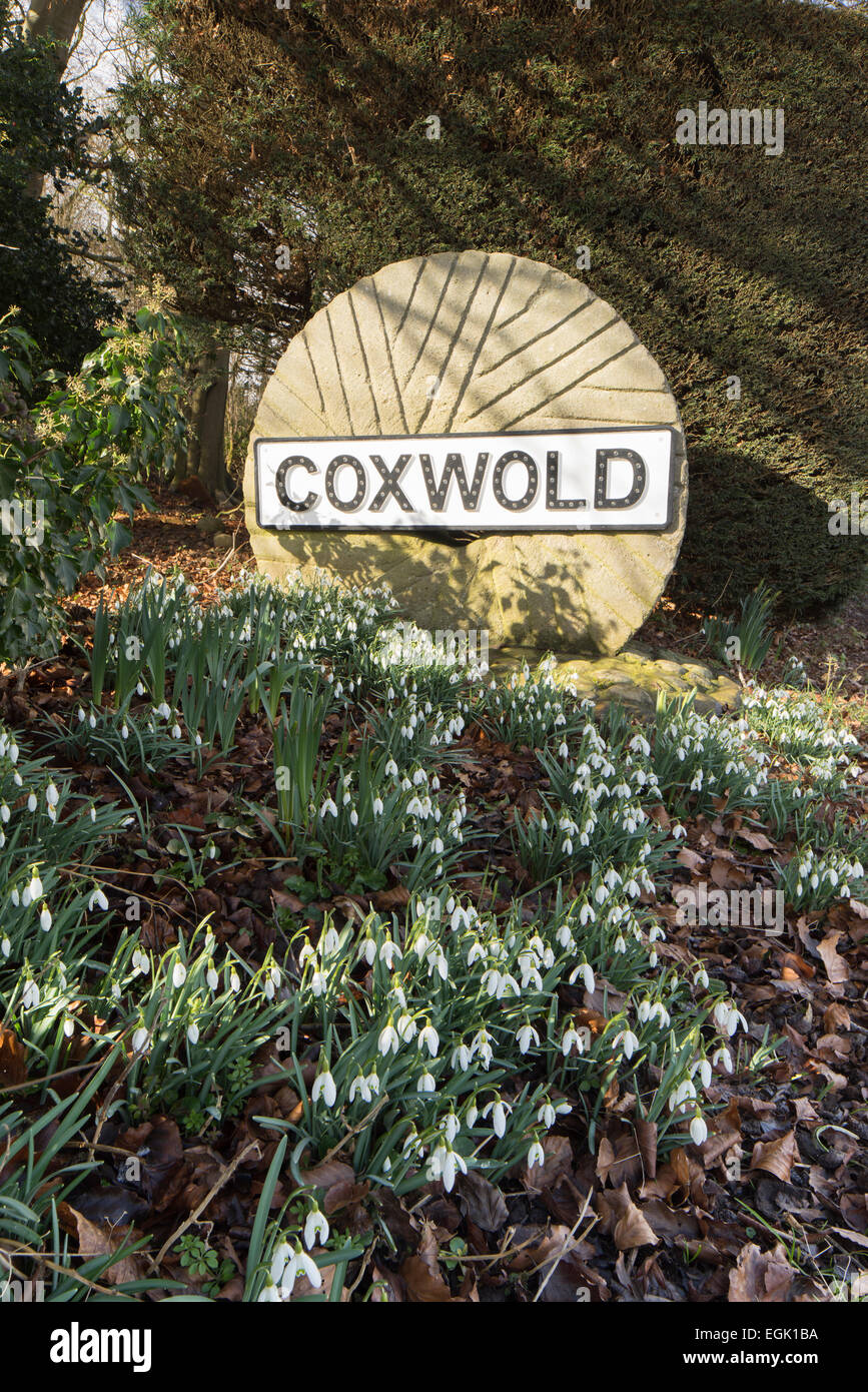 Coxwold village Mill Wheel road sign and Snowdrops in North Yorkshire. Stock Photo