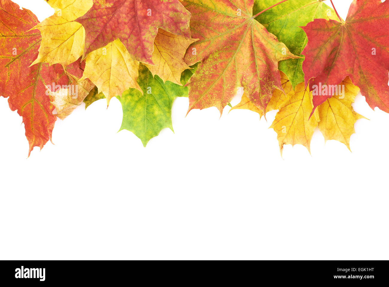 Colorful maple leaf border hi-res stock photography and images - Alamy