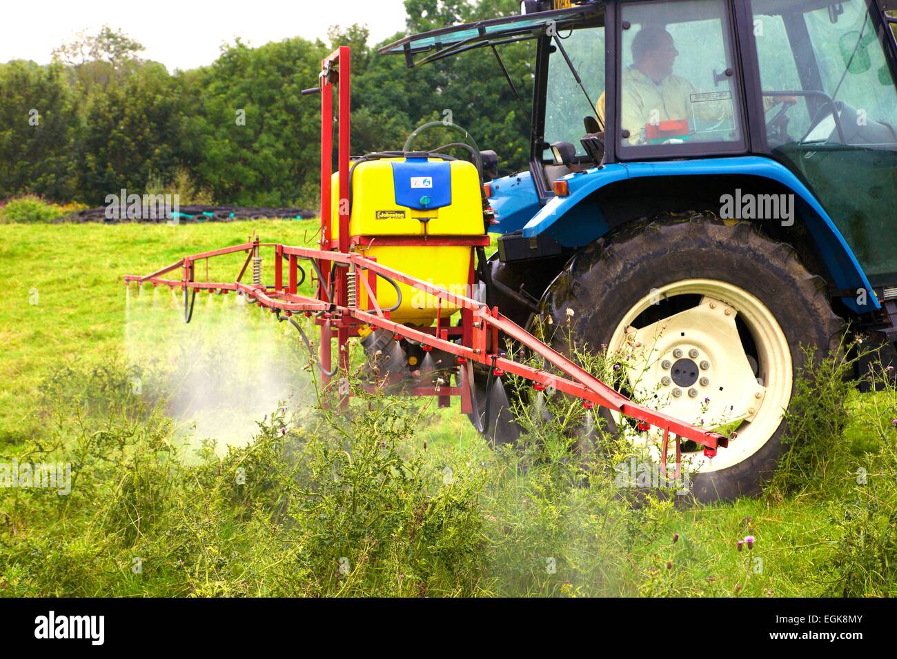 T90 New Holland Tractor with sprayer, spraying thistles. Stock Photo