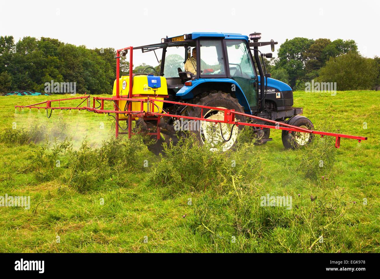 T90 New Holland Tractor with sprayer, spraying thistles. Stock Photo
