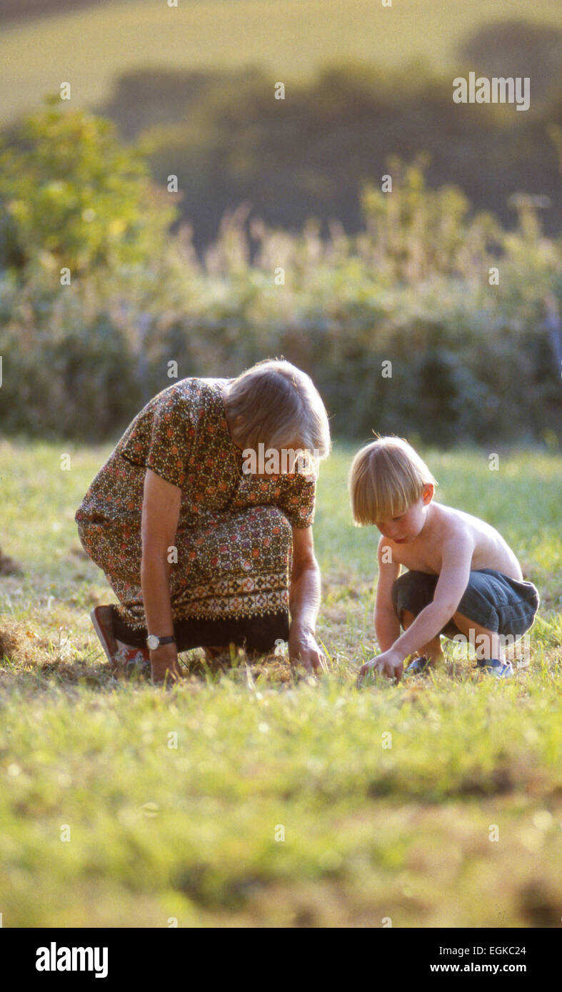 Grandmother and grandson together in rural green field in sunshine. Both exploring plants growing in the grass. Stock Photo