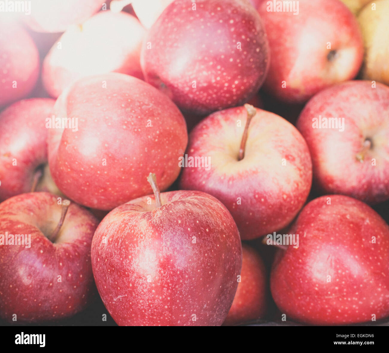 Red apples with sun flare and vintage effect added Stock Photo