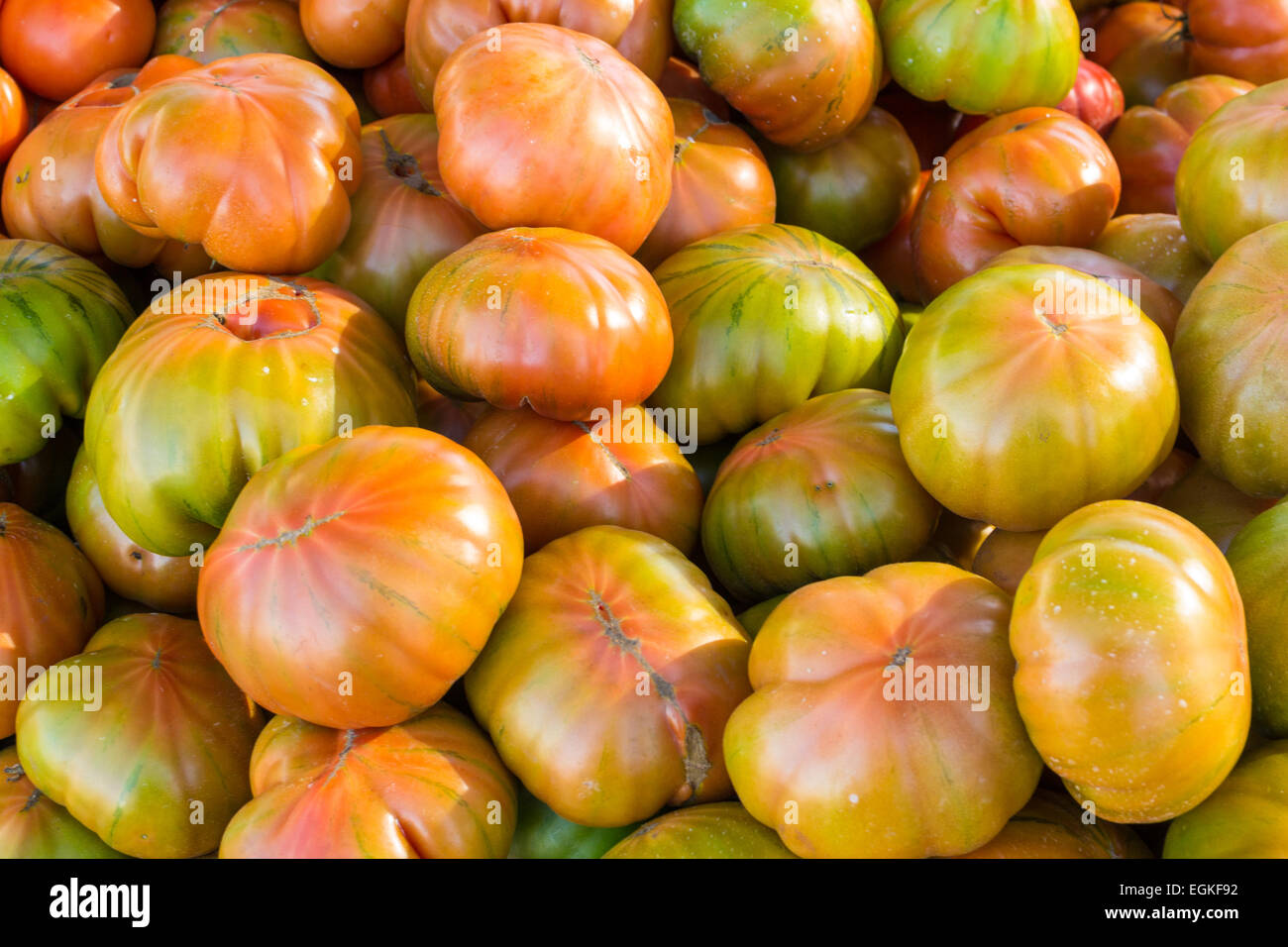 Full frame of fresh tomatoes on market stall Stock Photo - Alamy