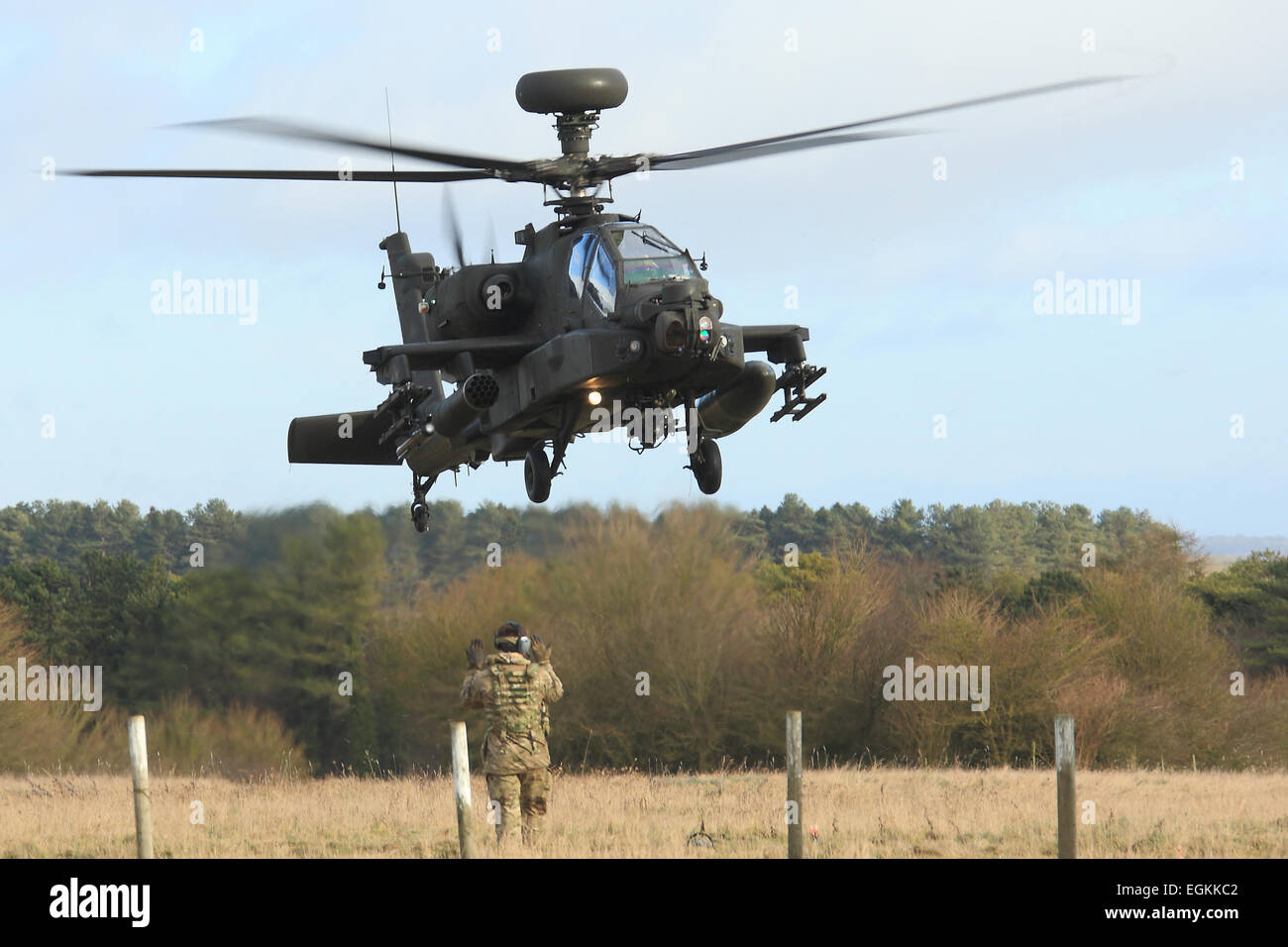 British Army Agusta Westland Apache AH1 attack helicopter lands in a field during a training exercise. Stock Photo