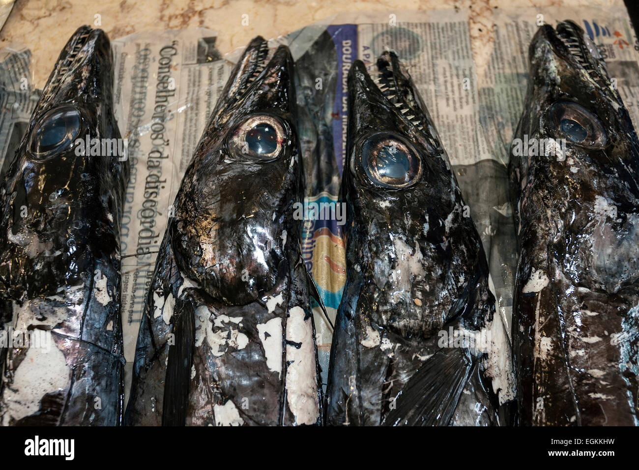 Black scabbard fish (Aphanopus carbo), Fish Market, Funchal, Madeira, Portugal Stock Photo