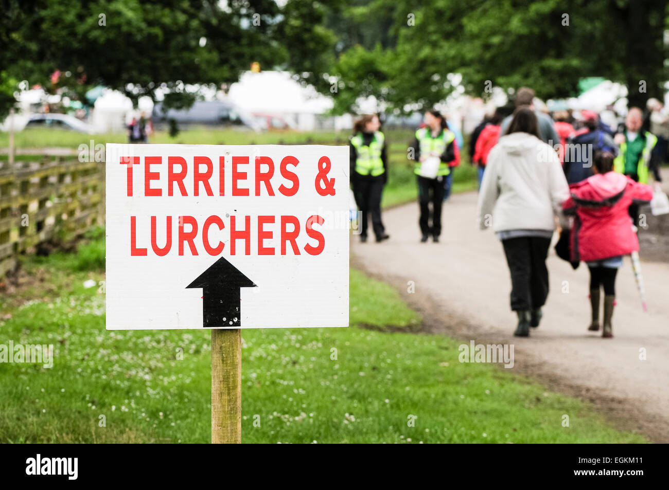 Sign at a country fair for terriers and lurchers Stock Photo