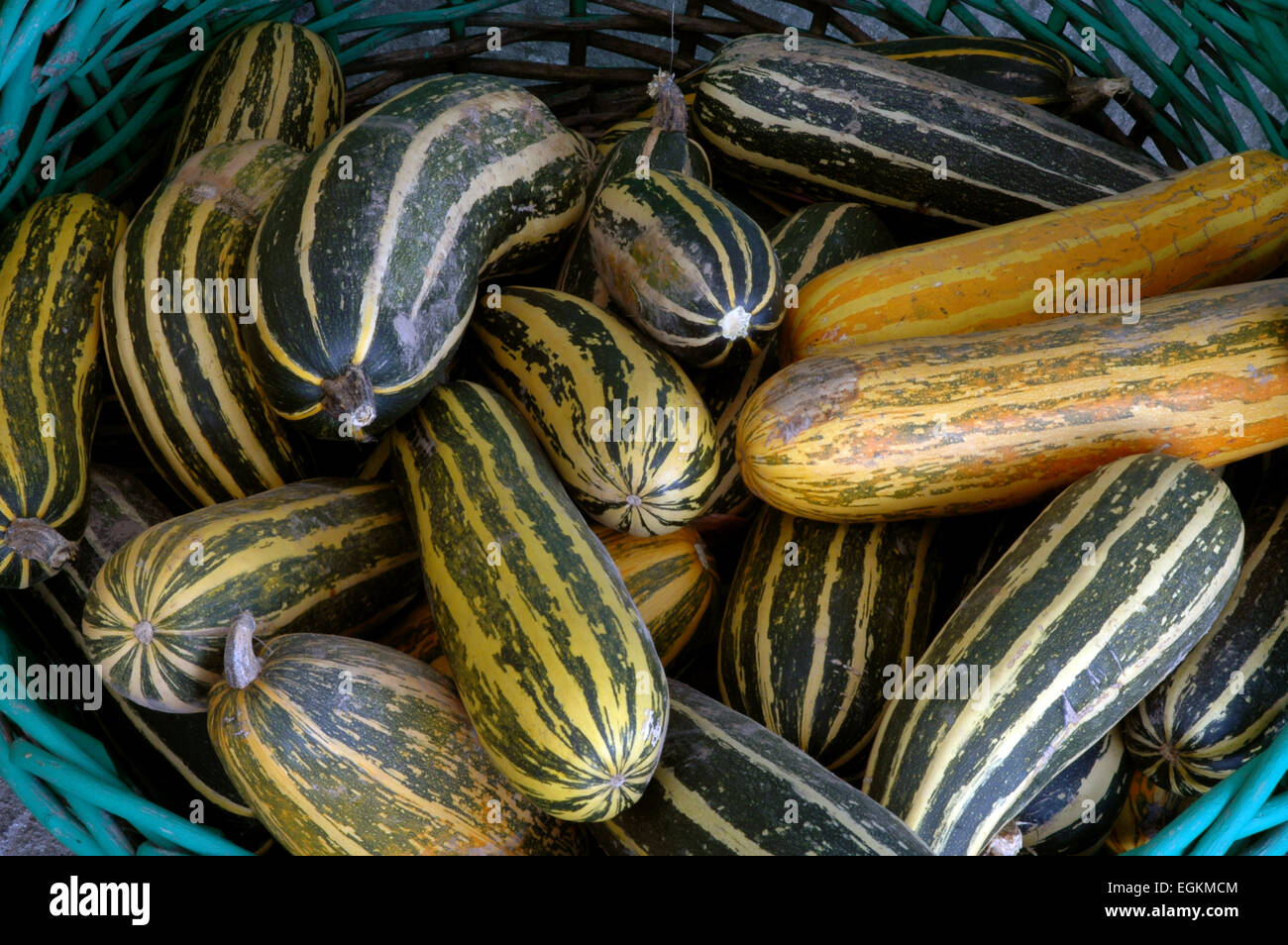 pumpkins and squashes Stock Photo