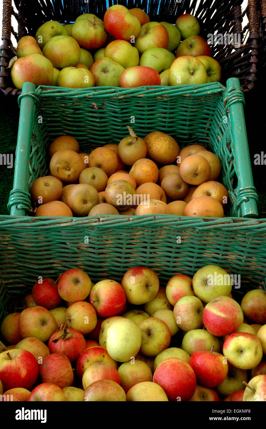 three baskets of apples Stock Photo