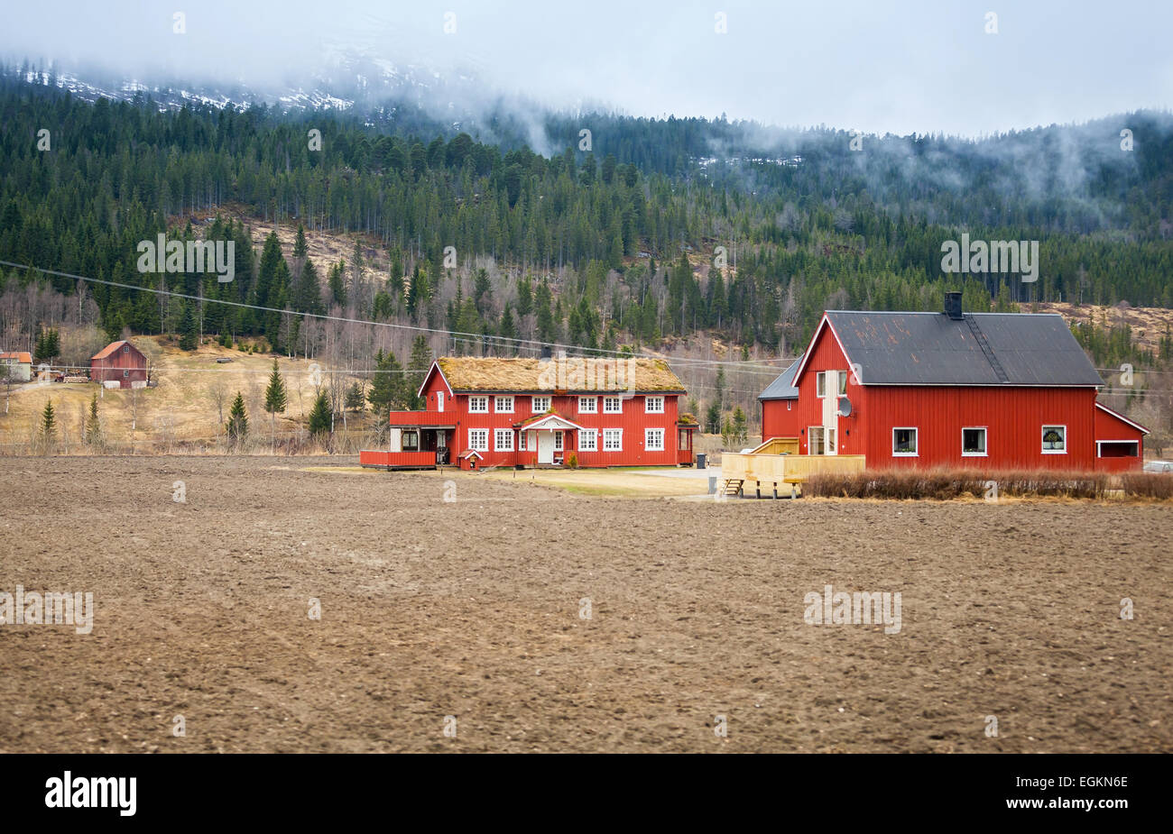 Rural Norwegian landscape with red wooden houses and foggy forest on