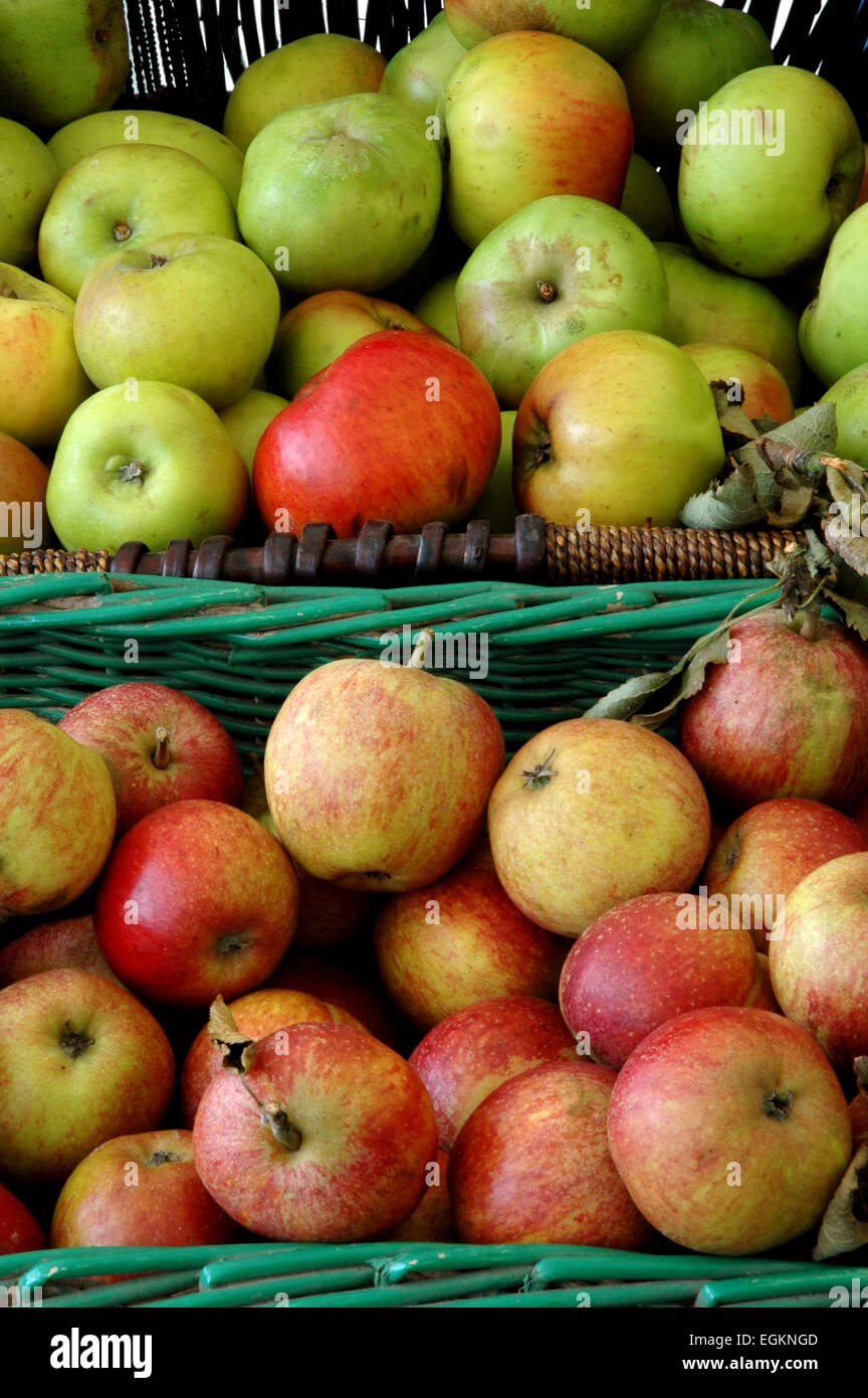 apples bramley and cox Stock Photo