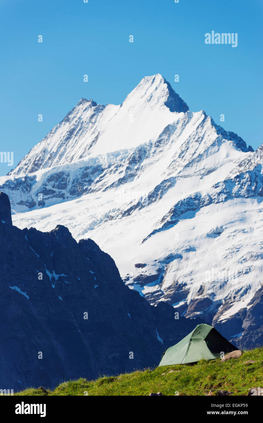 Europe, Switzerland, Swiss Alps Jungfrau-Aletsch Unesco World Heritage site, Finsteraarhorn (4274m) Stock Photo