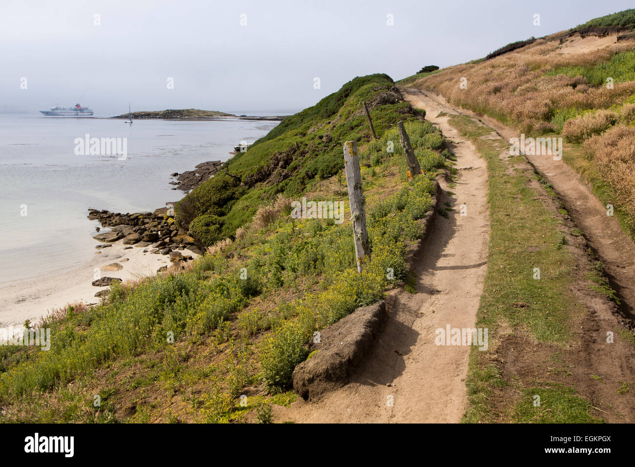 South Atlantic, Falklands, New Island, road to settlement Stock Photo