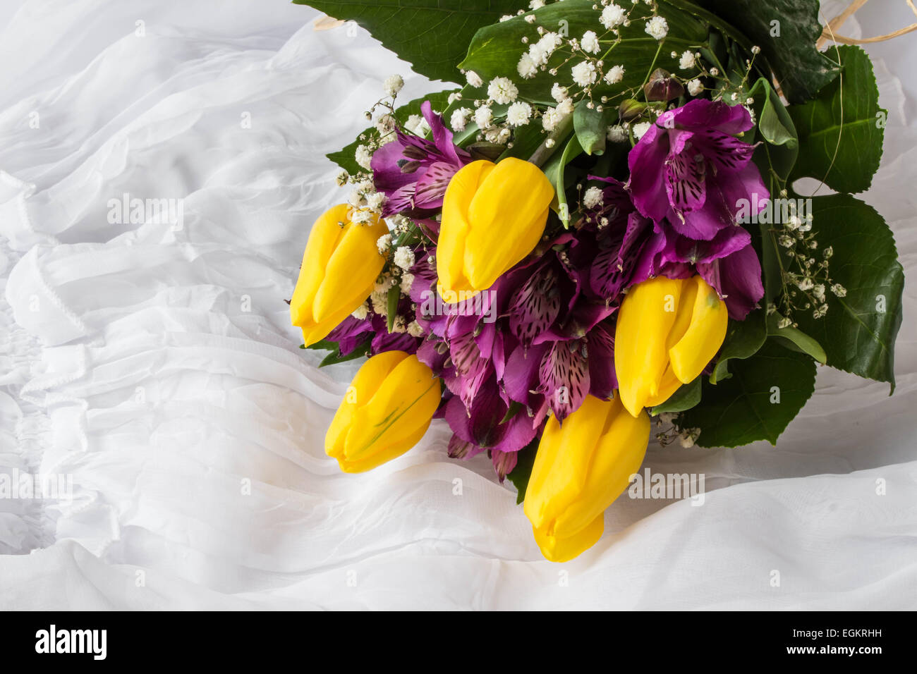 Spring flowers - yellow tulip and purple alstroemeria (lily of the Incas or Peruvian lily) - white background Stock Photo