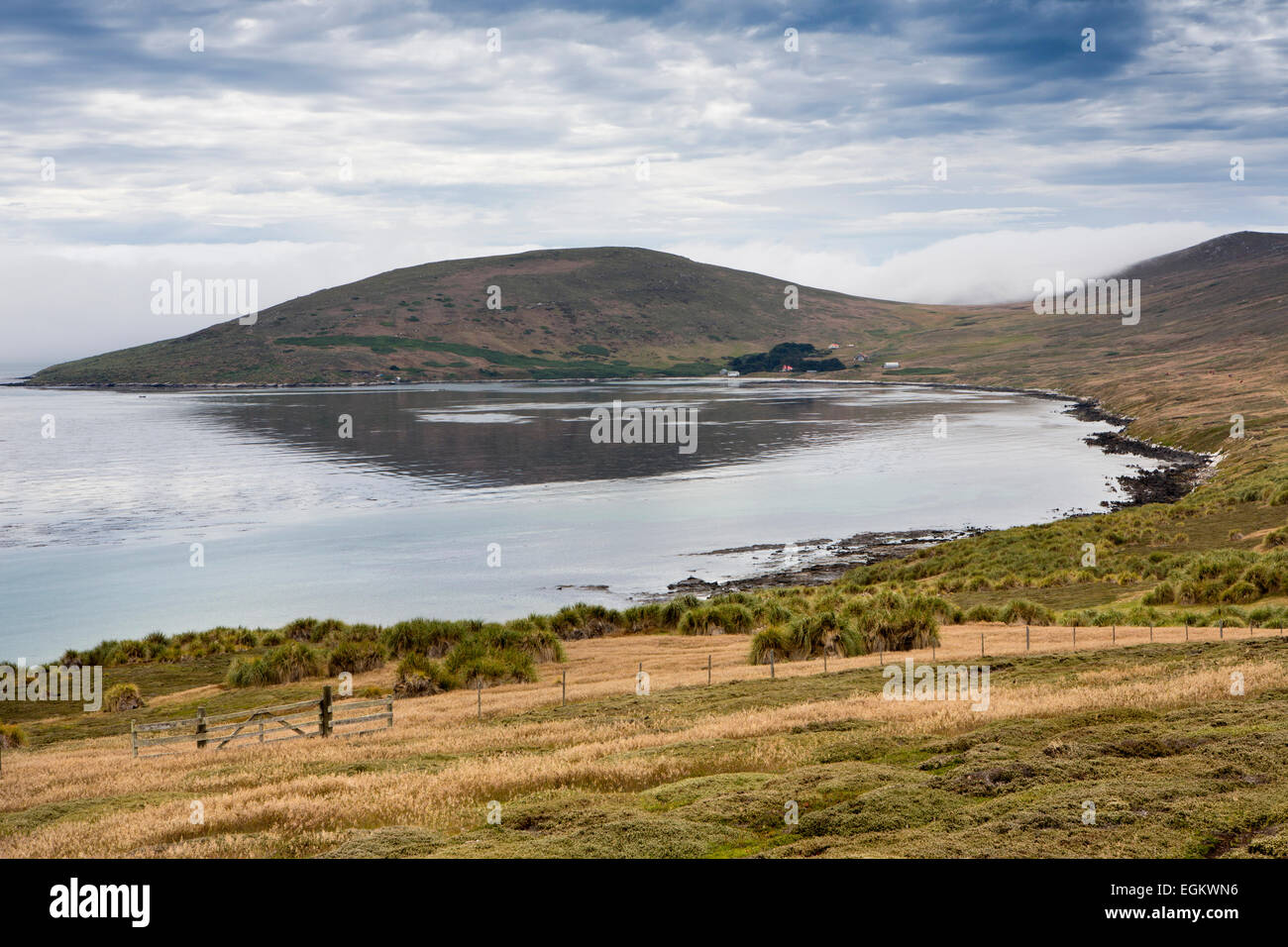 South Atlantic, Falklands, Carcass Island, sheltered bay at the McGill Settlement Stock Photo