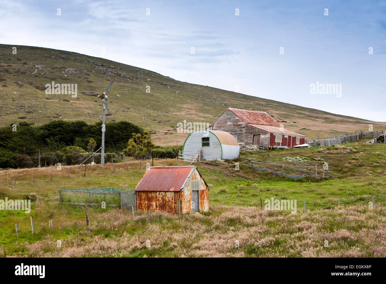 South Atlantic, Falklands, Carcass Island, McGill Settlement, old corrugated iron farm buildings Stock Photo