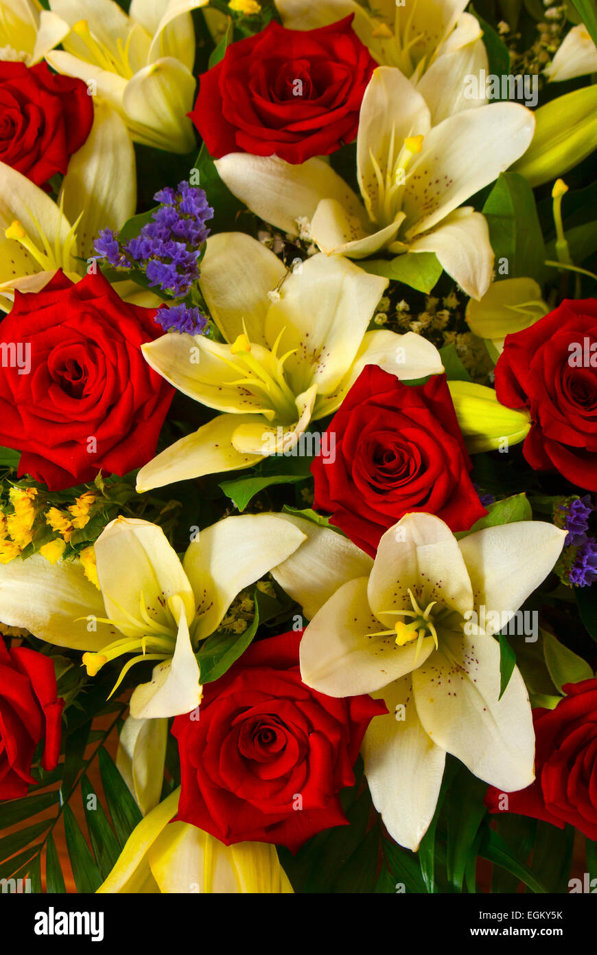 red roses and white lilies1vertical(Lilium candidum), (Statice).(Rosa