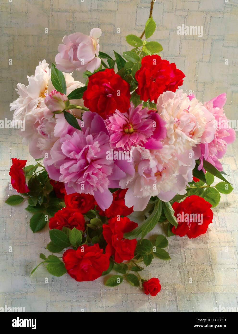 bouquet with pink pi-mesons and red roses (Rosa).( Paeonia),gray light background , vertical Stock Photo