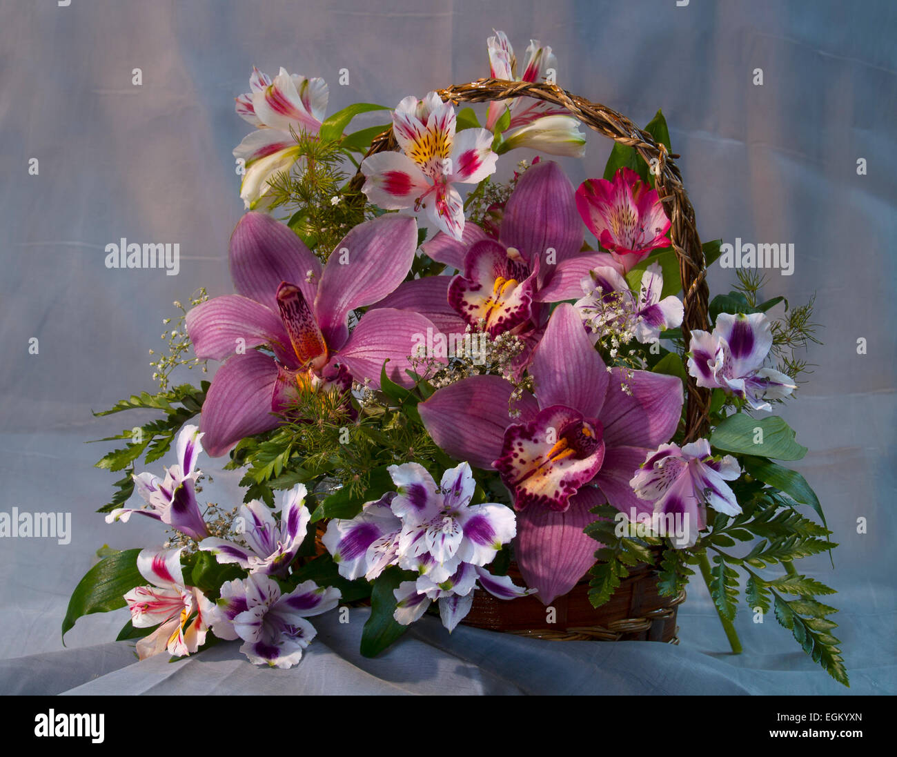 bouquet with orchids in a basket-2.(Pteridim aquilinum).(Cultum),(Alstroemeria) gray background , horizontal Stock Photo
