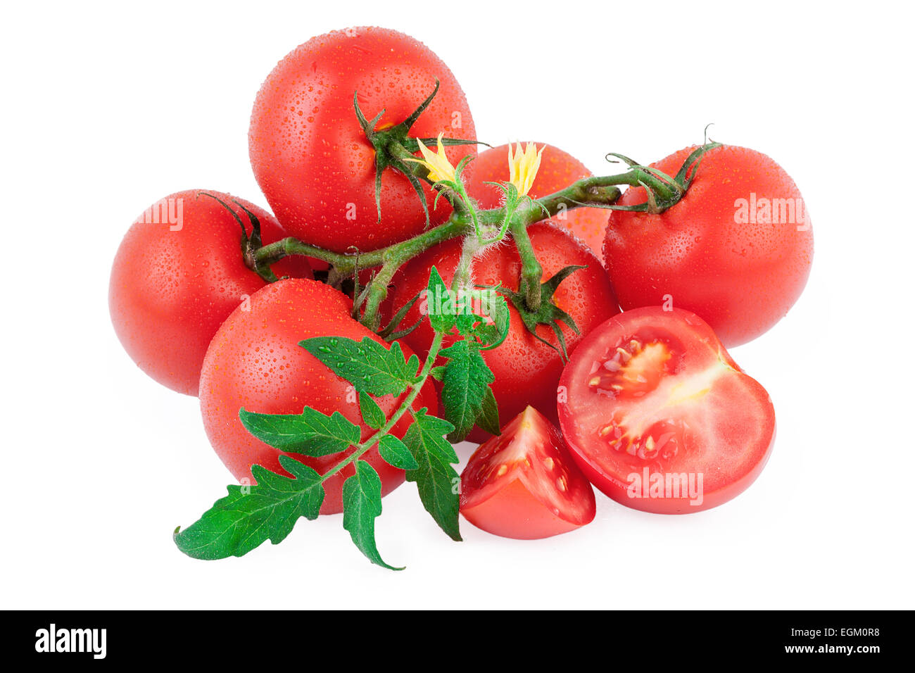 Tomato organic isolated white background Stock Photo